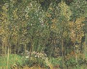 Vincent Van Gogh The Grove (nn04) oil painting reproduction